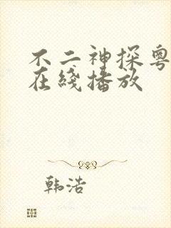 不二神探粤语版在线播放