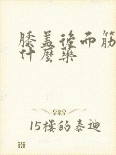 膝盖后面筋痛吃什么药