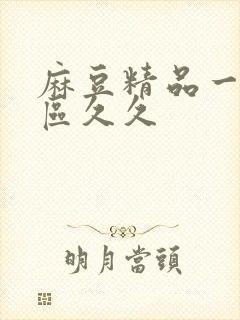 麻豆精品一区二区久久