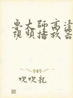 鲁大师高清免费视频播放器下载