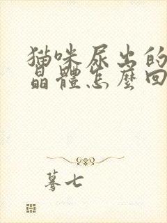 猫咪尿出的尿有晶体怎么回事