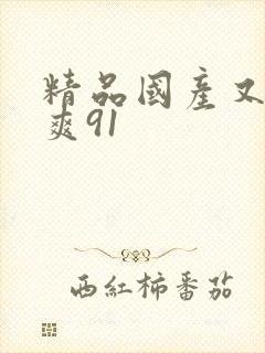 精品国产又色又爽91