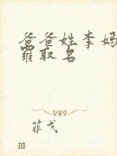 爸爸姓李妈妈姓罗取名封面