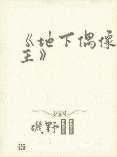 《地下偶像双男主》