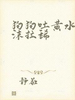 狗狗吐黄水带泡沫拉稀