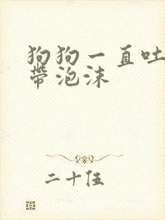 狗狗一直吐黄水带泡沫