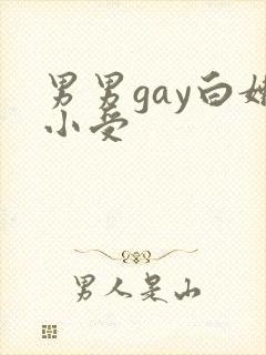 男男gay白嫩小受