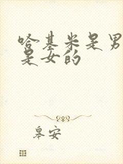 哈基米是男的还是女的