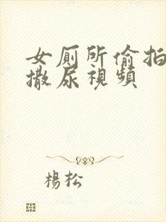 女厕所偷拍女人撒尿视频