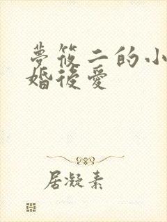 梦筱二的小说先婚后爱