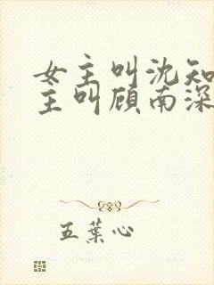 女主叫沈知意男主叫顾南深封面