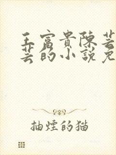 王富贵陈芸和陈芸的小说免费阅读封面