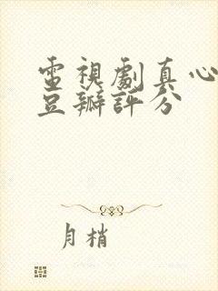 电视剧真心英雄豆瓣评分