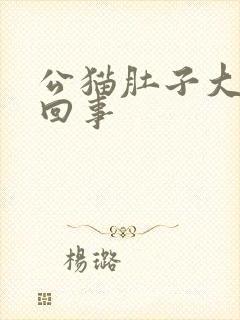 公猫肚子大怎么回事