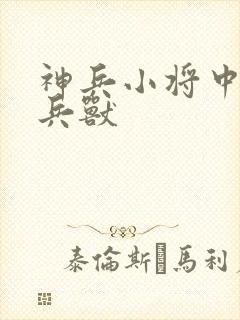 神兵小将中的神兵兽封面