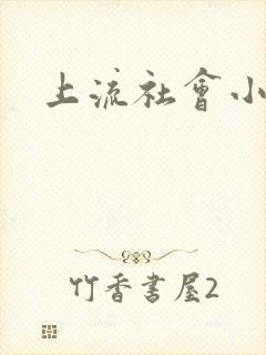 上流社会小说