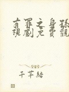 有罪之身孙千电视剧免费观看全集高清