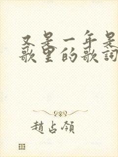 又是一年是哪首歌里的歌词