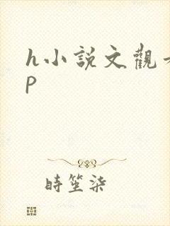 h小说文观看np