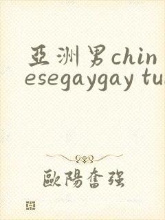 亚洲男chinesegaygay tube