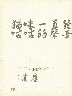 猫咪一直发出咕咕咕的声音是怎么了封面