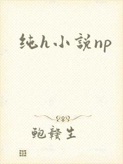 纯h小说np