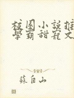 校园小说推荐双学霸甜宠文