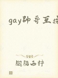 gay帅哥互操
