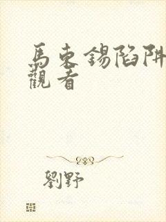 马东锡陷阱在线观看