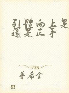 引体向上是反手还是正手