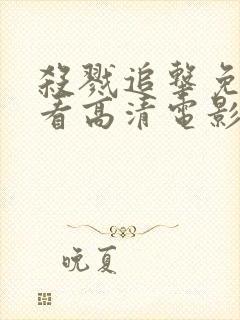 杀戮追击免费观看高清电影