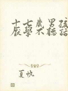 十七岁男孩叛逆厌学不听话