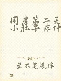 同房第二天女生小肚子疼什么原因