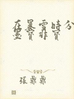 在暴雪时分by墨宝非宝