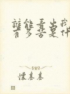 谁能看出我心里有多苦是什么歌