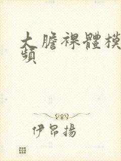 大胆裸体模特视频封面