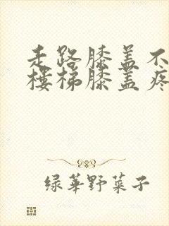 走路膝盖不疼爬楼梯膝盖疼是怎么回事封面