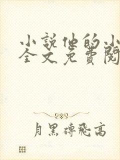 小说他的小仙女全文免费阅读