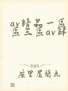 av精品一区二区三区av解说