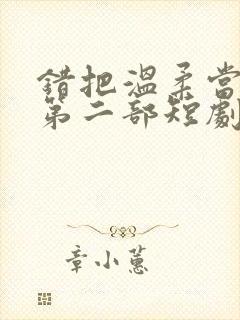 错把温柔当情深第二部短剧