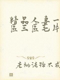 精品人妻一区二区三区毛片