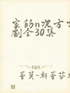 家的n次方电视剧全30集