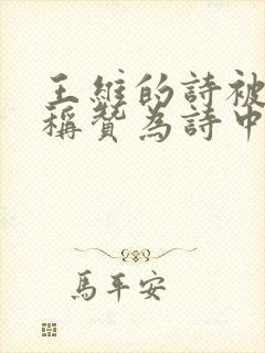 王维的诗被苏轼称赞为诗中有画后面是什么