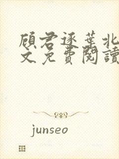 顾君逐叶北北全文免费阅读