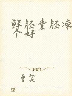 鲜胚囊胚冻胚哪个好