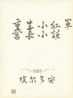 重生小红军湘江营长小说