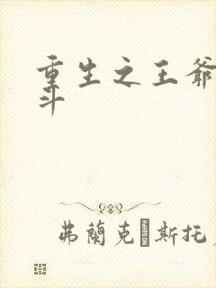 重生之王爷的奋斗