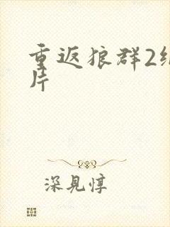 重返狼群2纪录片