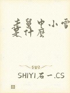 老舅中小雪结局是什么