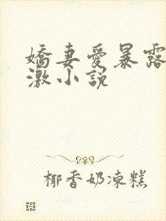 娇妻爱暴露寻刺激小说